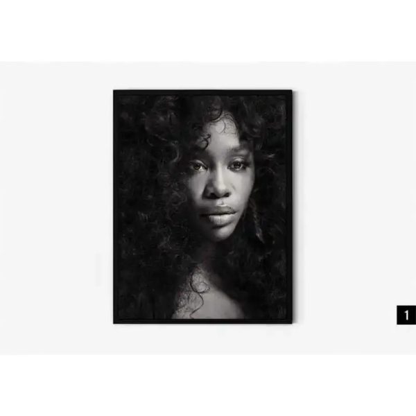 Aesthetic SZA SOS Ctrl Canvas – Dreamy Wall Art for Bedroom or Lounge