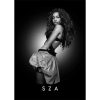 Aesthetic SZA SOS Ctrl Canvas – Dreamy Wall Art for Bedroom or Lounge